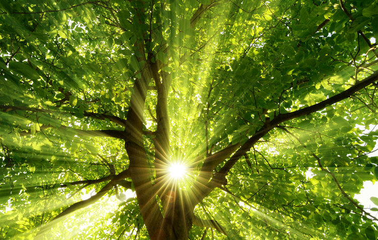 疫情下的戰(zhàn)爭(zhēng)