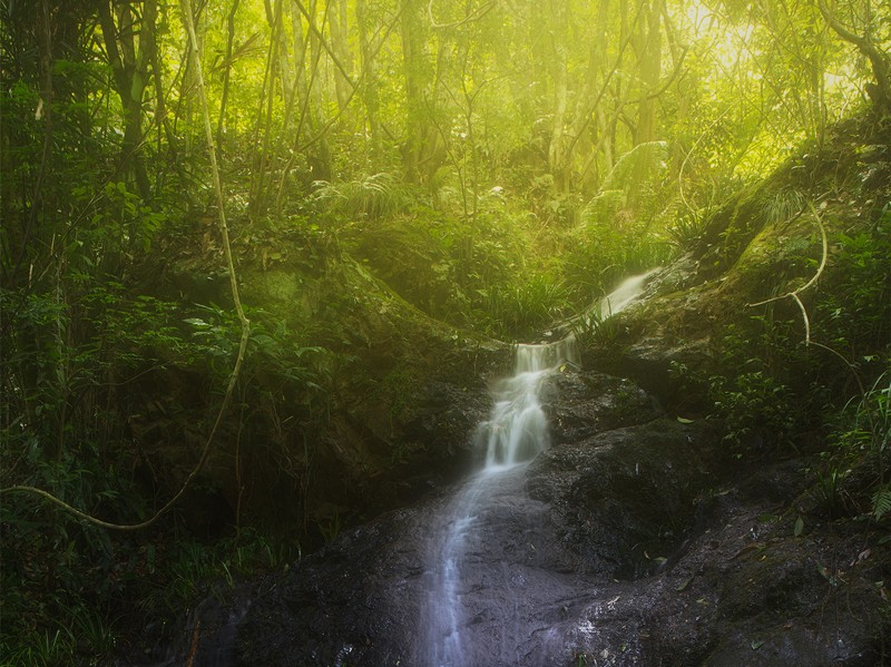 細(xì)水長流，持續(xù)學(xué)習(xí)，忘我工作，共建臻美臨臨——讀《細(xì)水長流，忘我工作，重建美麗家園》有感