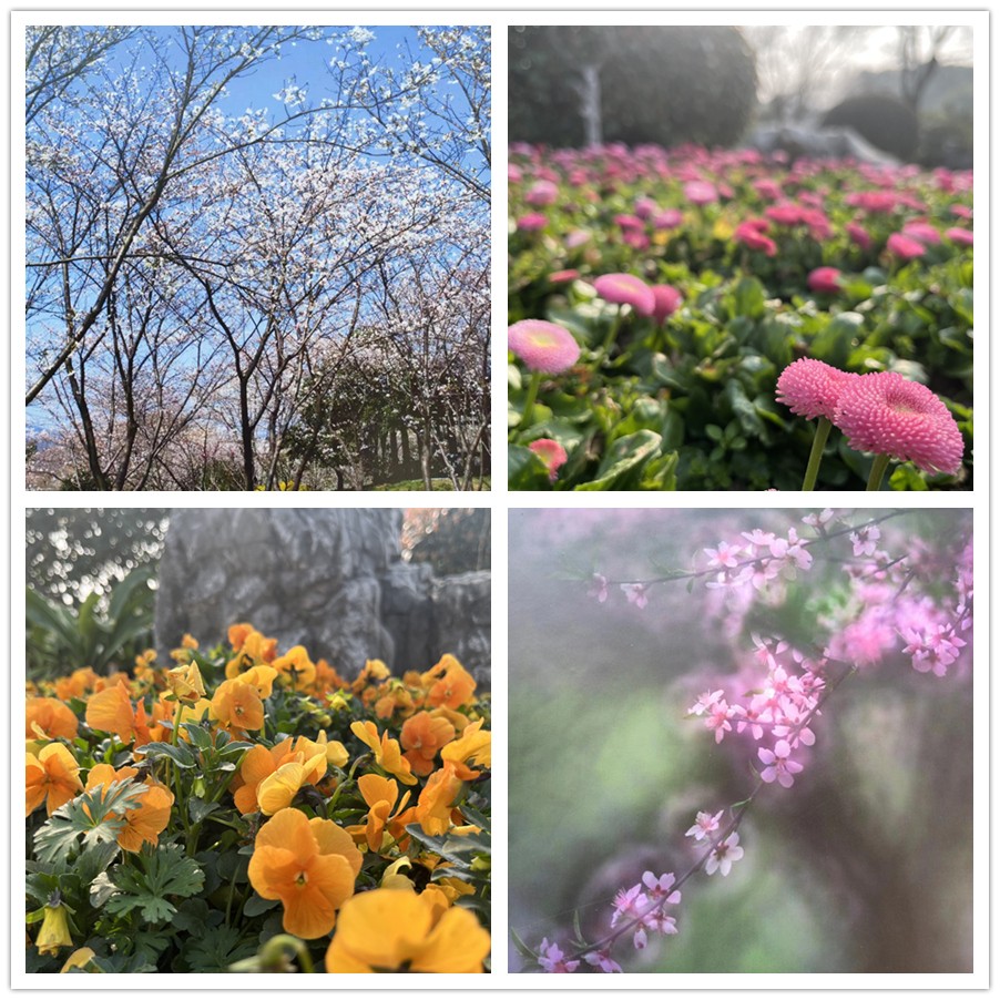 【女神節(jié)專(zhuān)題】一路走來(lái)一路拍——于金瀅攝影集之打卡玄武湖、中山陵