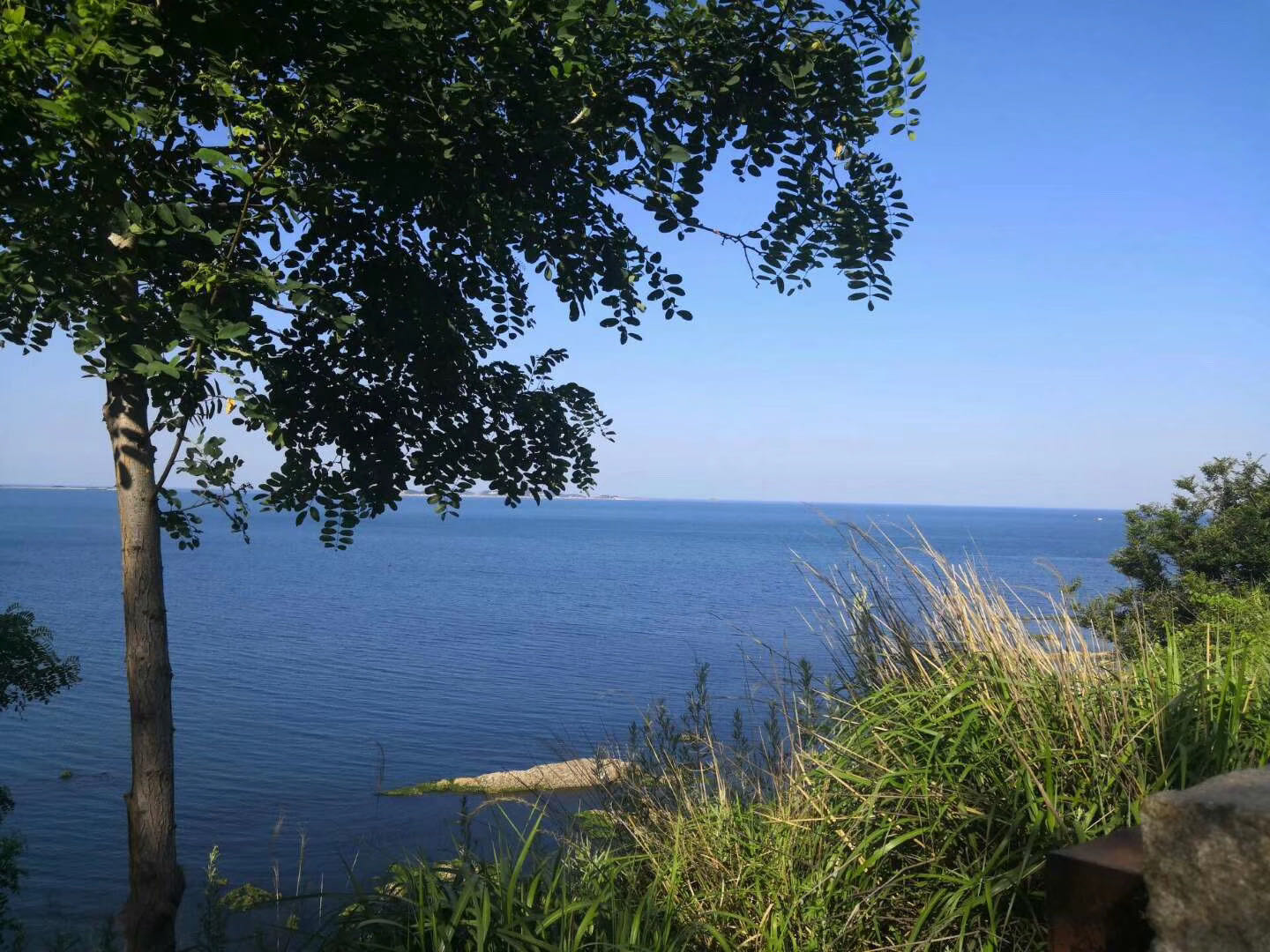 人生之路-不畏艱難，勇往直前