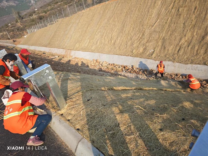 邊坡鋪設(shè)植物纖維毯_副本
