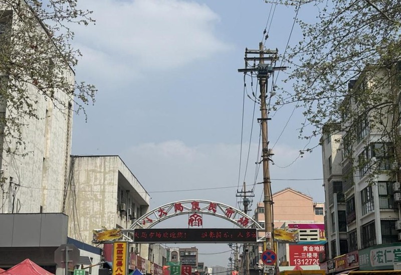 春天，一起去探尋淄博的魅力