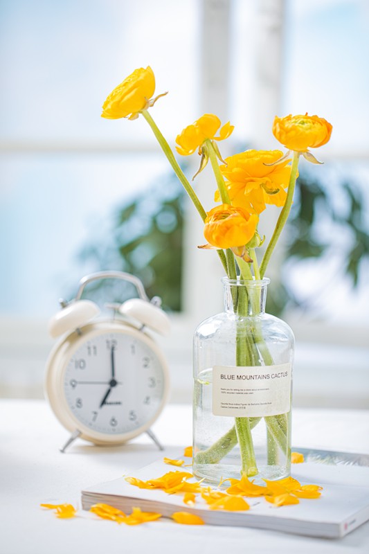 春將遠，夏將至