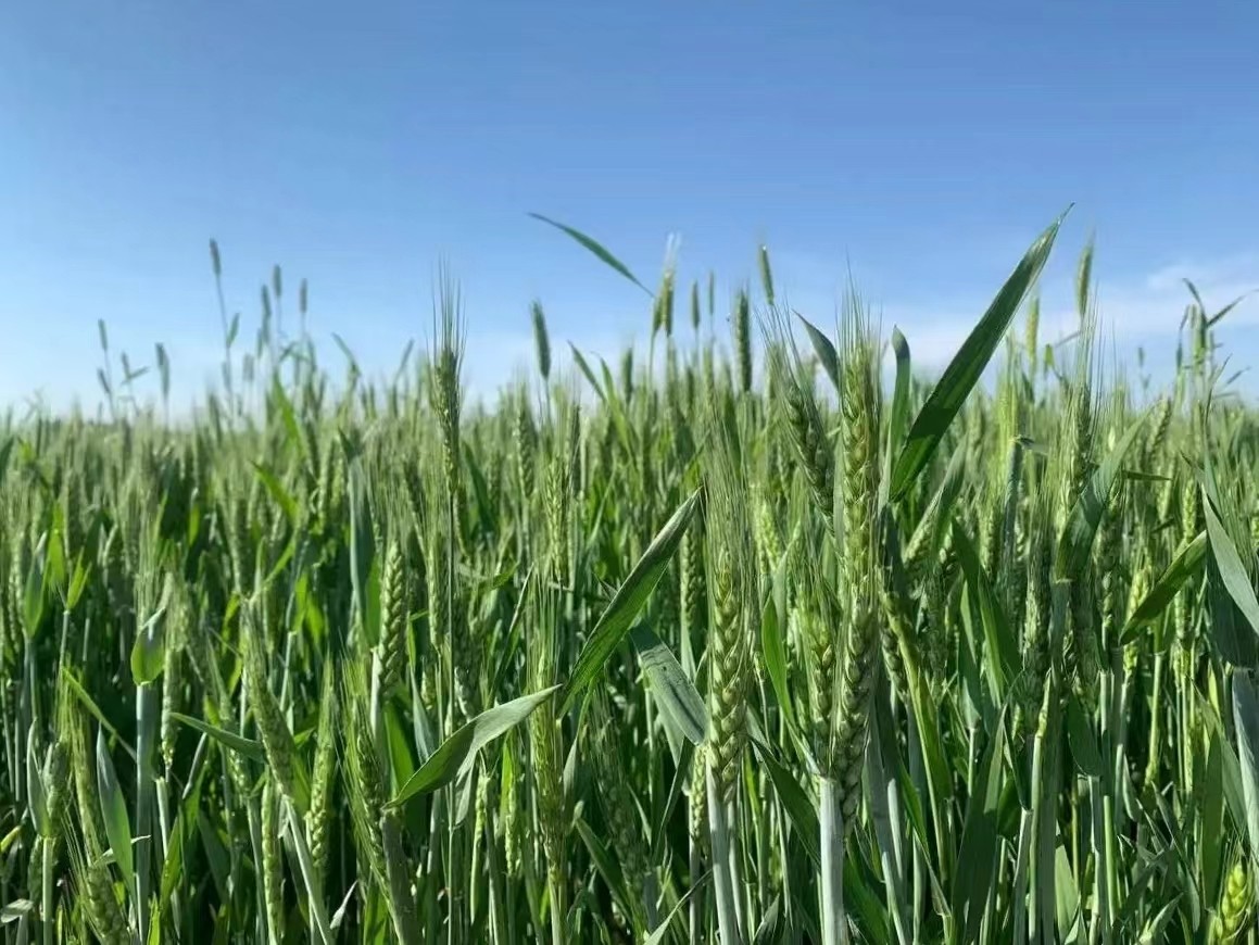 身邊的風(fēng)景