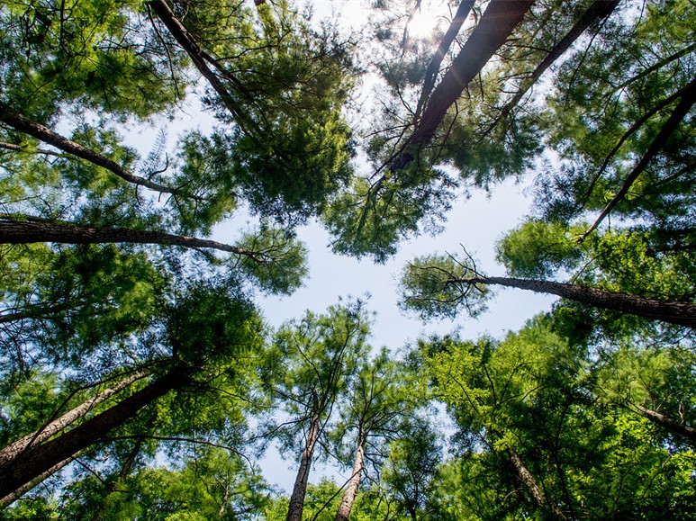 奮斗的青春最美麗