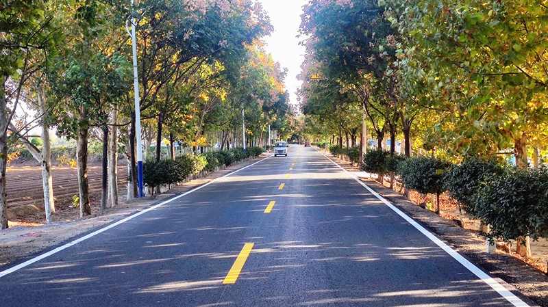 微信圖片_20231101142838_副本 微信圖片_20231101142838_副本