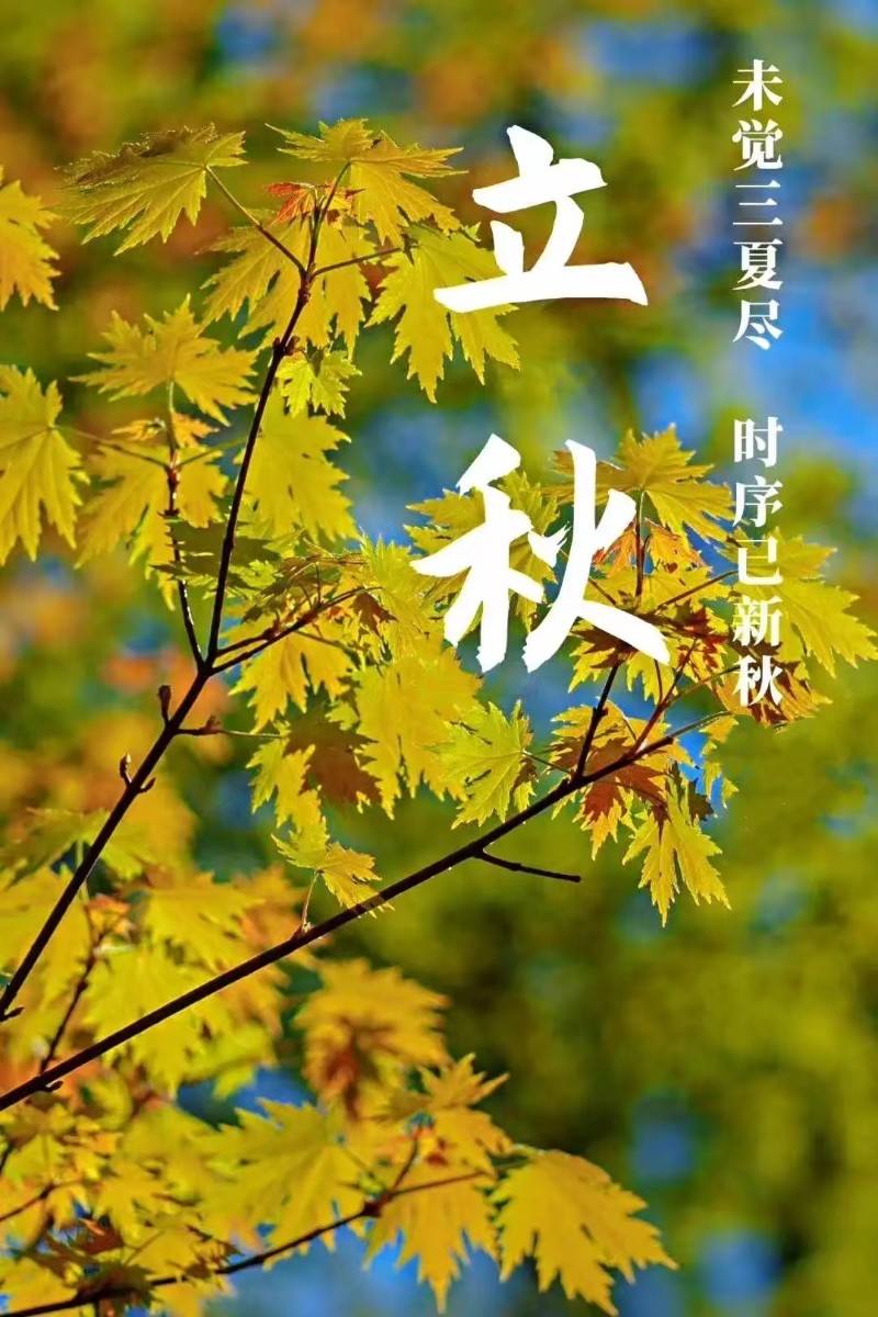 立秋風(fēng)起，心自清涼