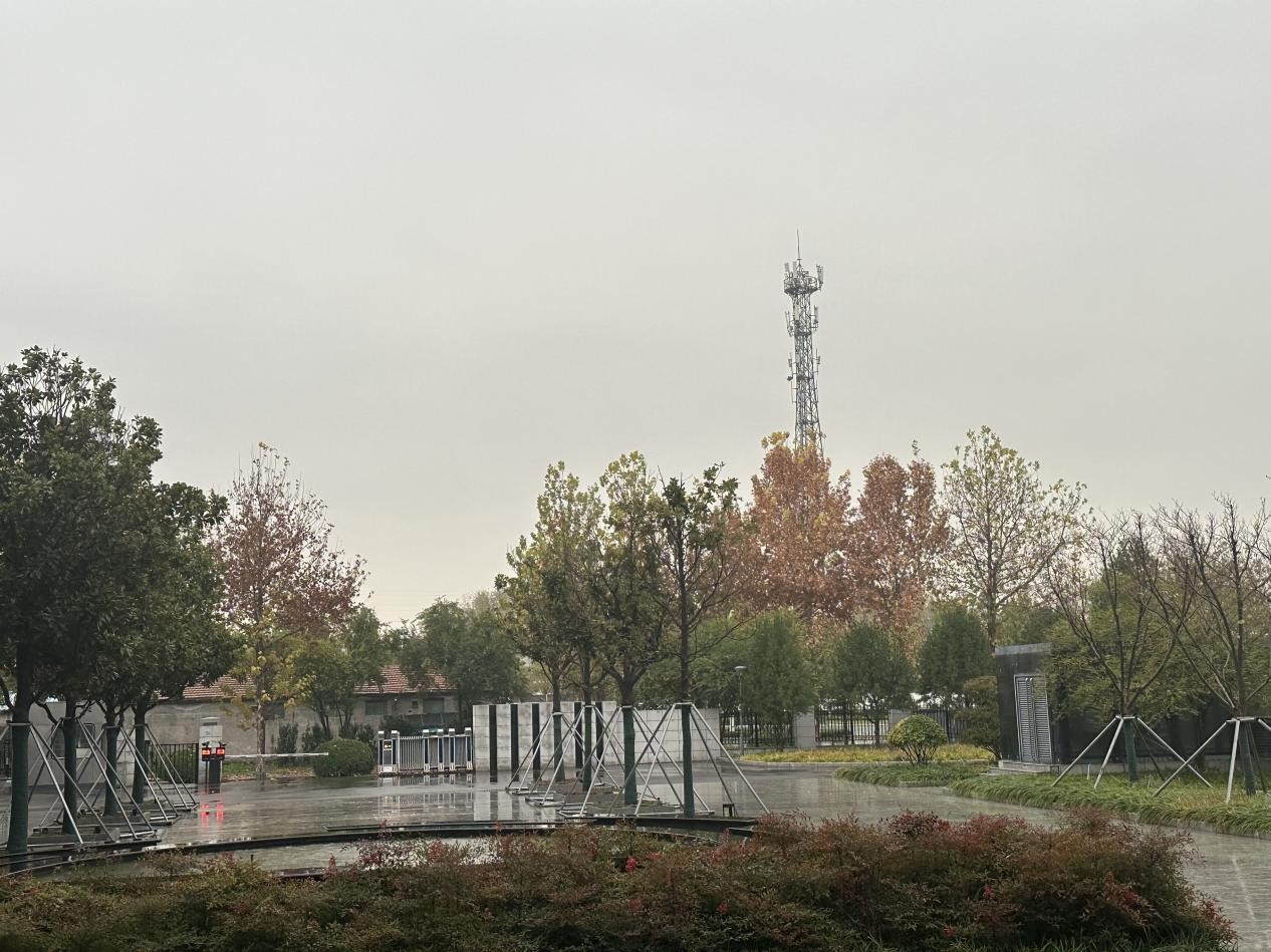 冬雨之韻，生活之色