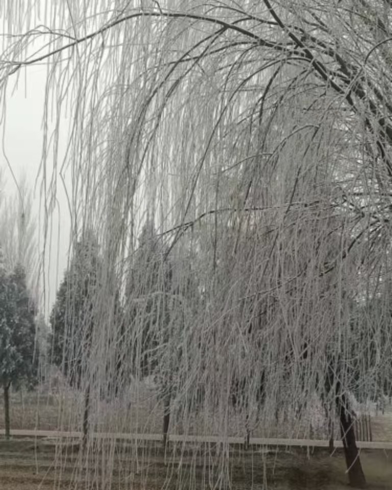 一季之寒，一世之暖