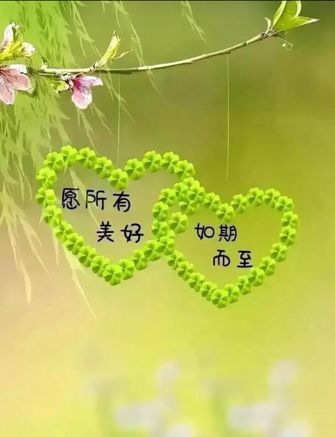 廿載情誼，重逢見(jiàn)暖陽(yáng)