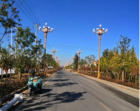 李莊項(xiàng)目下的金秋十月