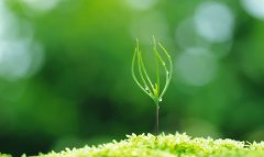 奮斗是對(duì)春的敬意