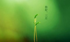 你好，三月！