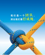 從人力資源部看團(tuán)結(jié)，淺談對(duì)團(tuán)隊(duì)的理解