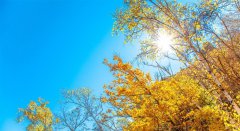 現(xiàn)代筑路人