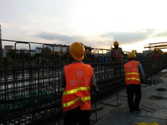 遷徙的候鳥，領(lǐng)略不一樣的風(fēng)景