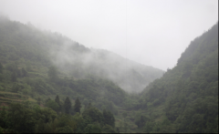 再見，江西！