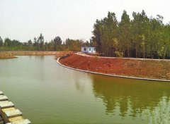 孝婦河畔，我們詩意的生活著