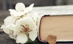 淺談學(xué)習(xí)寫作