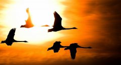 12月，你好！11月，再見！