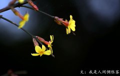 春分將至，我在等你——致徐徐爬行的你