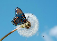 改變，從魯中公路開(kāi)始