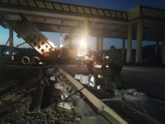 不畏風(fēng)霜摧折苦