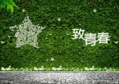 做好青春事，無(wú)悔公路情