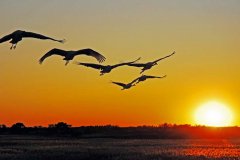 快樂工作， 微笑生活