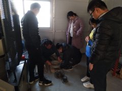 為則通達(dá)，學(xué)無止境