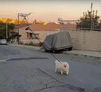 知恥而后勇，知弱而圖強(qiáng)