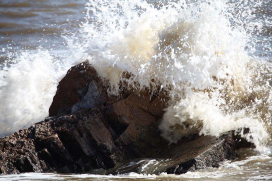 長風破浪會有時，直掛云帆濟滄海