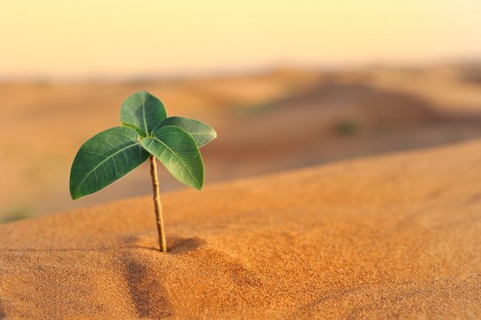 工地上的那些事：修電腦