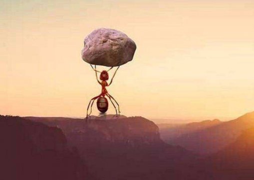 能扛事，不惹事，不怕事！