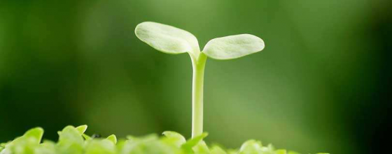 相聚魯中公路  我們彼此成長