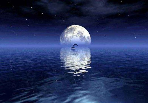 又是一年仲秋節(jié)