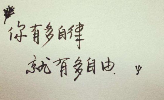 在自律中尋找自由