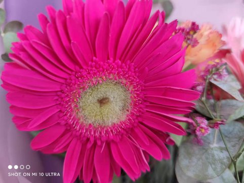 三八節(jié)，我們的女神節(jié)