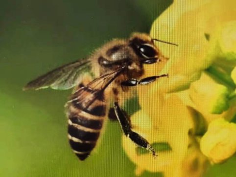 給誰打工？——從“抓作風 創(chuàng)效益”想到的