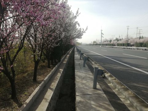 及時(shí)當(dāng)勉勵(lì)，歲月不待人