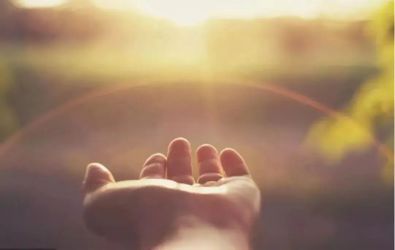 萬般皆苦，何以幸福