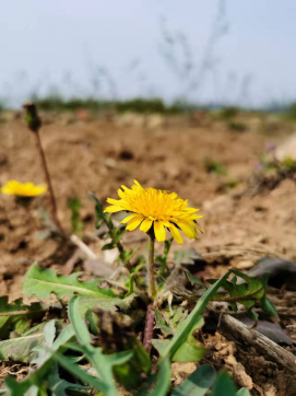 滿懷希望，走向未來