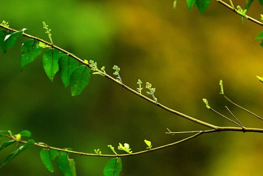 同心抗疫，迎接美好春天